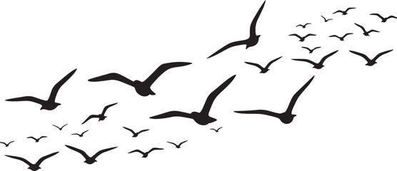 Flock of birds flying in formation isolated on transparent background