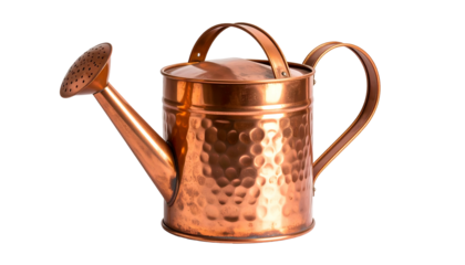 Elegant copper watering can, textured, handle arches, on black background, detailed design