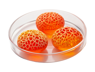 3d illustration of organic cell structures in a petri dish isolated on transparent or white background, png