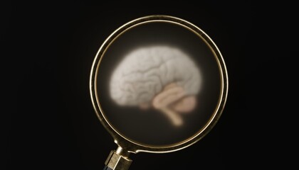 3d magnifying glass hovering over 3d render of human brain, dark background
