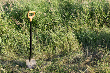 A black and orange shovel is standing in a field of tall grass