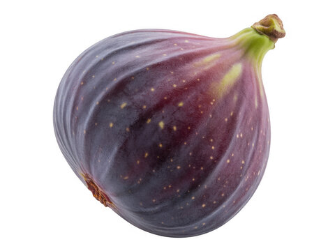 Fresh purple fig with green stem side view fresh fig isolated on a transparent background