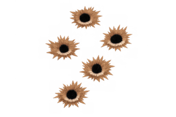 Five bullet holes creating impact damage, destruction, and danger on a transparent background, depicting a violent event