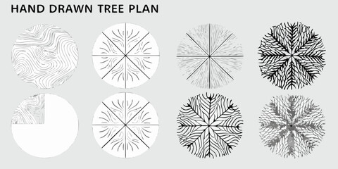 Hand drawn tree plan showing different stages of growth and foliage details