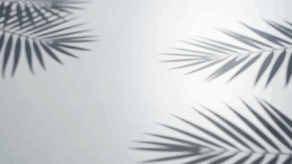 Fototapeta premium Palm leaves shadows on white wall background