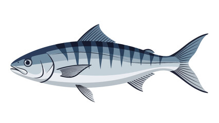 Wahoo Fish Illustration, Scomberomorus