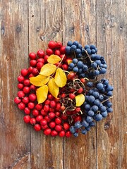 Autumn berry harvest &ndash; grapes, hawthorn, and rose hips. Still life on a wooden table.