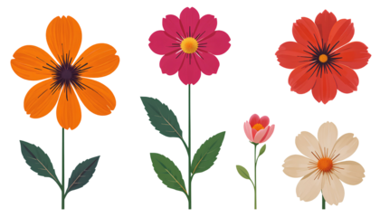 Vibrant Minimalist Floral Vector Illustration Set isolated on transparent background