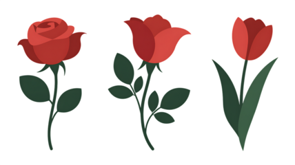 red flowers with green leaves on white background transparent background