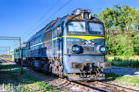 Torun, Poland - July 2, 2025. ST44 (also known as M62) diesel locomotive of PKP Cargo standing on a sidetrack on a sunny day in summer.