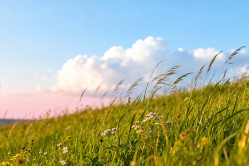 Grassy Hillside with Wildflowers Under Colorful Sky at Sunrise by generative AI technology