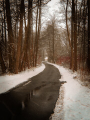 Winter Path Through Quiet Forest