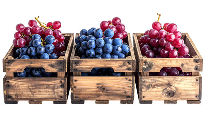 Three wooden crates filled with red and blue grapes, set against a black background