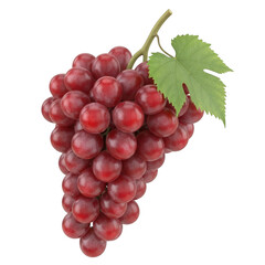 Fototapeta premium Single bunch of ripe red grapes with a leaf isolated on transparent background