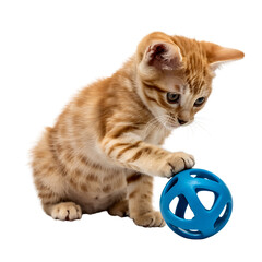 Adorable ginger tabby kitten playing with a blue ball