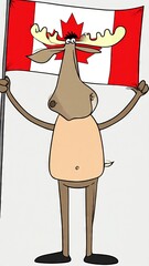 Cartoon moose is holding a canadian maple leaf flag isolated character