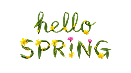 Hello Spring floral text made of green leaves and yellow daffodils on transparent background