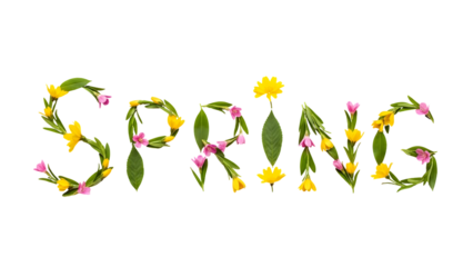 Spring Text Made of Fresh Flowers and Green Leaves