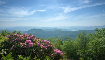 Breathtaking View of Bloom Page Rhododendron Flowers in Vibrant Pink Against Lush Green Mountains Landscape Page