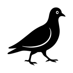 Fototapeta premium Silhouette of a Pigeon Standing Still on White Background, Simple Vector Icon