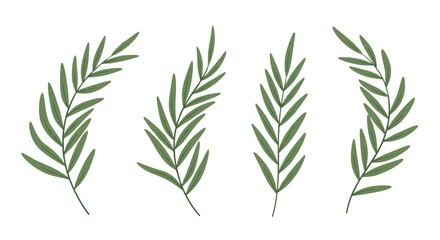 Fototapeta premium Set of four green tropical palm leaves or fern fronds isolated on white background for exotic summer and botanical design themes.