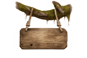 Hanging wooden sign board on mossy branch finding direction, offering information, or showing fantasy world location