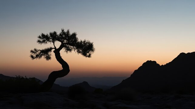 Silhouette of a solitary twisted juniper tree at dusk with mountains against a gradient sky