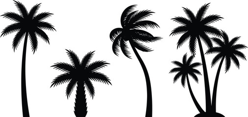 Black palm tree silhouettes tropical summer nature illustration isolated on white background for beach design, branding, decor, and travel themes © Moksedul Creative