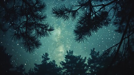 Stunning Milky Way Galaxy and Starry Night Scene Behind Trees