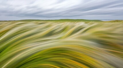 Gusting wind whips wild long grasses into a frenzy across a rolling green landscape under a cloudy sky