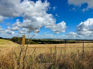 View of field in autumn with blue sky above