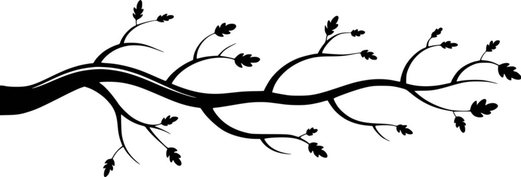 Black silhouette of a tree branch with oak leaves against a white