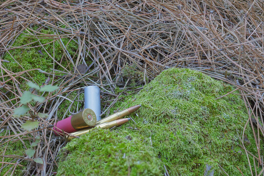 municion caza balas cartuchos 