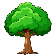 green tree isolated on white