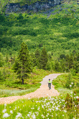 Boy rides mountain bike on dirt path in Norway surrounded by greenery and hills during daytime