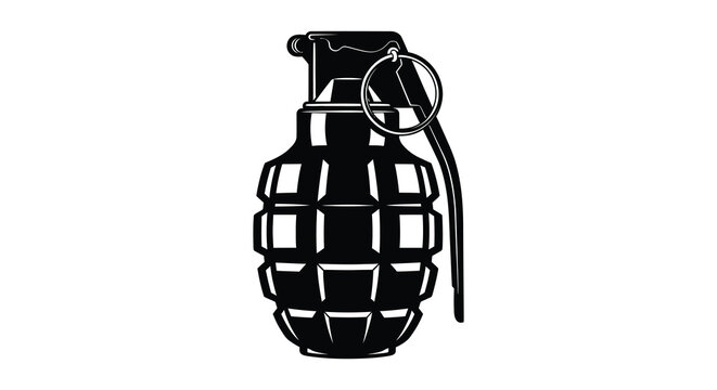 A detailed illustration of a classic hand grenade showcasing its design and components silhouette