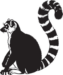 Black and white of a ring-tailed lemur sitting with a curled striped tail also transparent background © MeJaMa