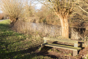 bench in the park