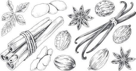 Detailed monochrome line of assorted spices and herbs editable cinnamon staranise