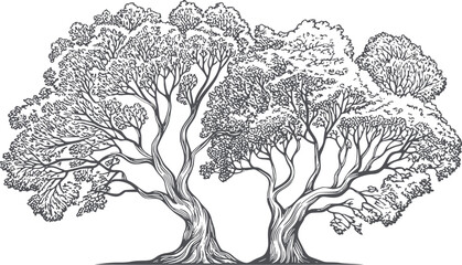 Detailed monochrome of a large sprawling tree with intricate branches