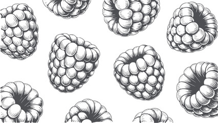 Detailed monochrome of clustered seed pods in various orientations black
