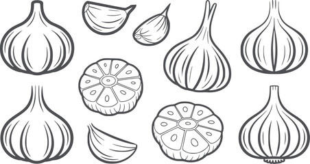 Whole and sliced garlic bulbs and cloves black and line vegetable food