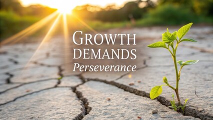A Vibrant Seedling Pushing Through Cracked Earth Under Bright Sunlight Symbolizing Growth and Perseverance