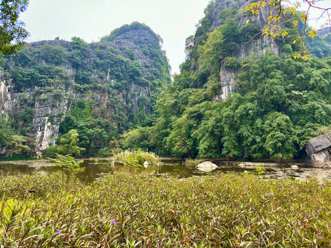 Poetic beauty of the water lily pond and limestone mountain range at the Bich Dong Pagoda area. The distant view covers clusters of light purple water lilies blooming on the still lake