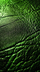 Green Leaf Vein Texture with Natural Organic Pattern