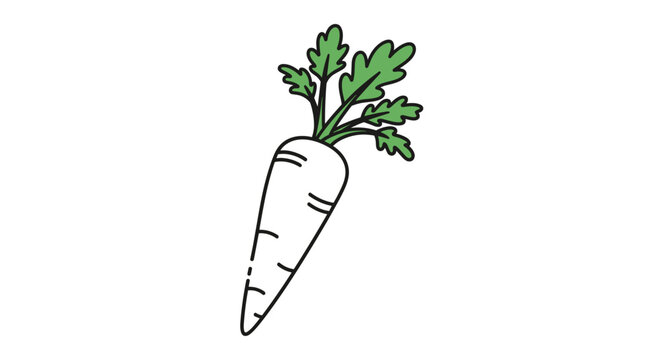 Simple illustration of a white daikon radish with fresh green leaves on top against a plain white background in a clean vector style.