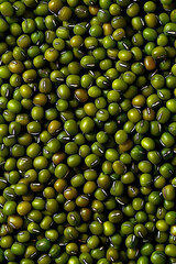 Green Mung Beans Texture Background in Natural Pattern