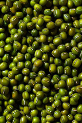 Green Mung Beans Texture Background in Natural Pattern