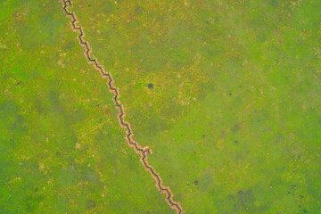 Zigzag military trench line in green grass field, defensive fortification earthworks, war concept background, aerial top down drone shot