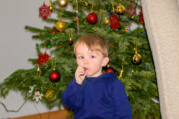 Toddler Eating Treat By Christmas Tree